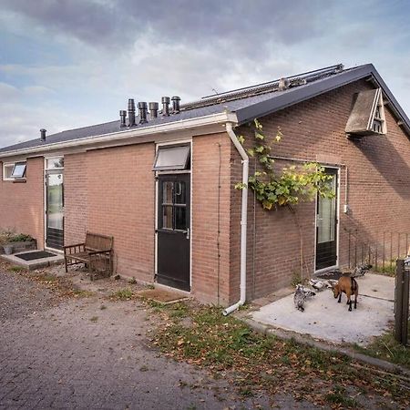 De Kaasmakerij - Ruim Vakantiehuisje Op Huize Blokland Hem Exterior foto