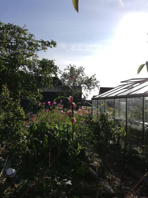 De Kaasmakerij - Ruim Vakantiehuisje Op Huize Blokland Hem Exterior foto
